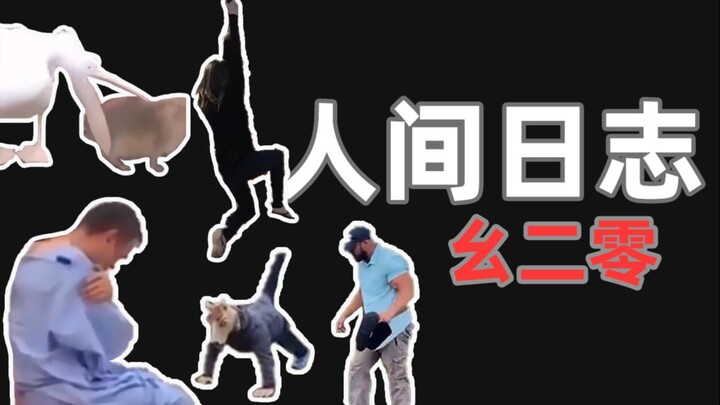 【人类观察日志】120 我不是真的人，但你是真的马