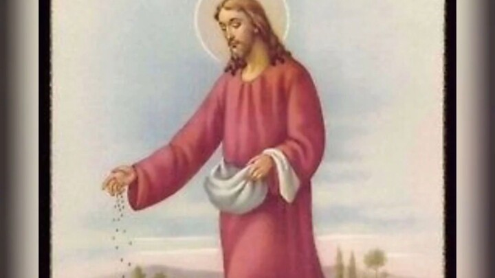 GOSPEL OF THE DAY (01/30/2026) Mark 4:26-34