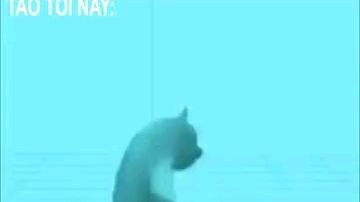 chủ nhật quẩy đi