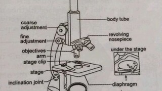 science lang sakalam