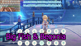 BigFish&Begonia