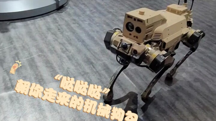 【งานแสดงการบินจูไห่】“ซู๊ดๆๆ” เรียกสุนัขหุ่นยนต์มาได้ไหม?