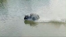 Challenge to float on water, and see if you can succeed?