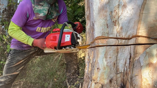 Newwave 8800 super s