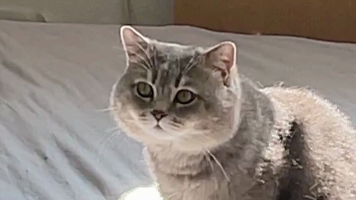 แสงแดดอันร้อนแรงทำให้ปลิงทะเลมีรสชาติที่แตกต่างออกไป