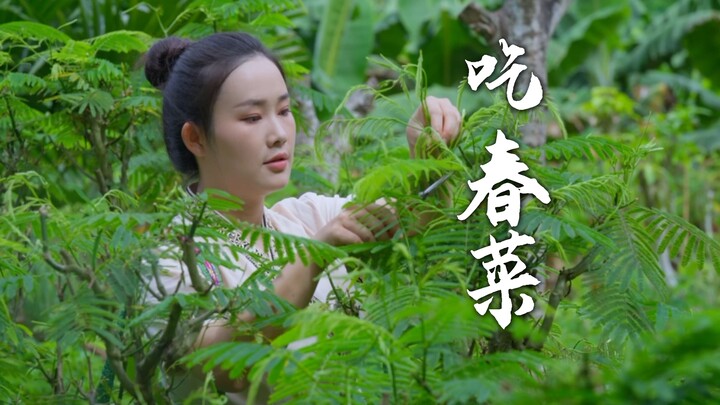 Spring is here—Yunnan’s trees are bursting with “Dianxi Little Brother,” the Yunnan native!