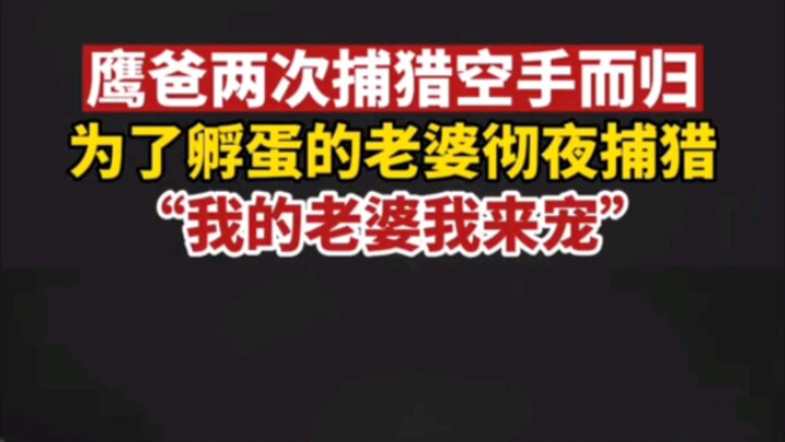 الأب الصقر: سأدلّل زوجتي أنا!