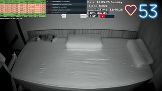 Sleep Stream 19.05.2025