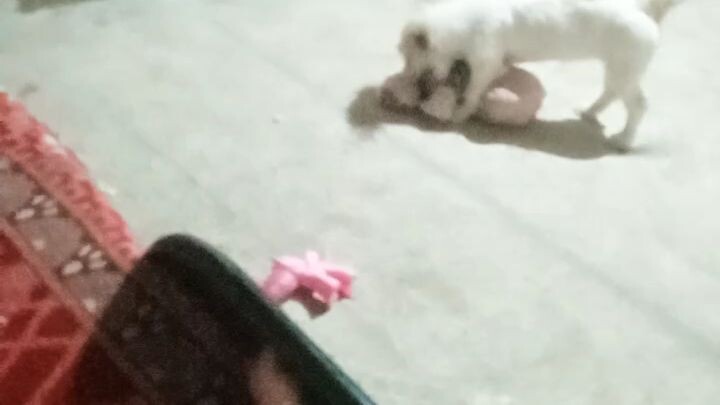 hahah kawawa Yung teddy bear