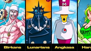 Penjelasan Detail SEMUA RAS & SUKU di One Piece