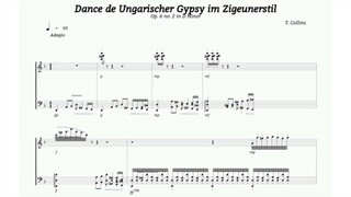Collins T. - Dance de Ungarischer Gypsy im Zigeunerstil (reupload)