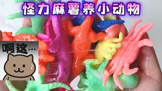 震惊！怪力麻薯养出了核污染小动物？｜四倍水洗的怪力麻薯后续