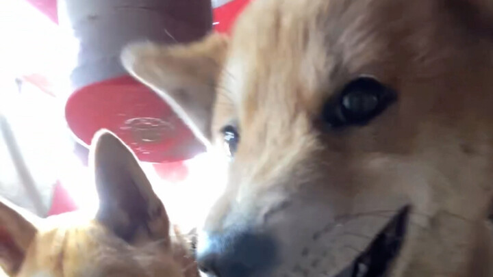 The Number One and Number Two Hottest Guys in the World—No Arguments Allowed!