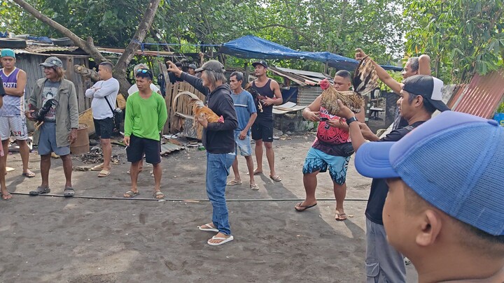 3x Winner na si Bulik Small But Terrible (Win) walang sugat