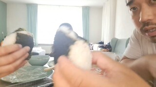 ASMR EATING SOUNDS - ONIGIRI (JAPANESE RICE BALLS)