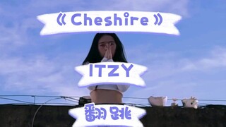 《Cheshire》翻跳|努力翻跳 手上的动作好绕 呜哇