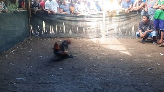 basta tupada daming tao sa loob ng ruweda (tupadasatambo)