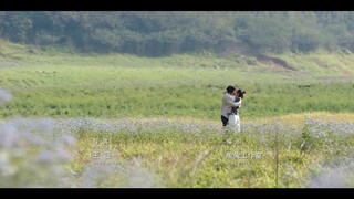 Hi Venus (2022) บังเอิญพบรัก EP 20 [ซับไทย]