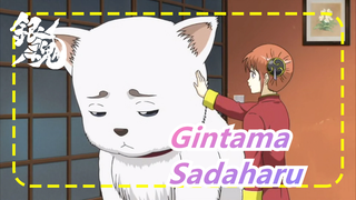 Gintama|[Kagura]Sadaharu Menemukan Sesuatu Yang Luar Biasa Setelah Tidak Bisa Makan