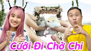 Chị Vê Tổ Chức Đám Cưới Cho 2 Bé Hamster Độc Lạ Nhất Việt Nam - Vê Vê Channel