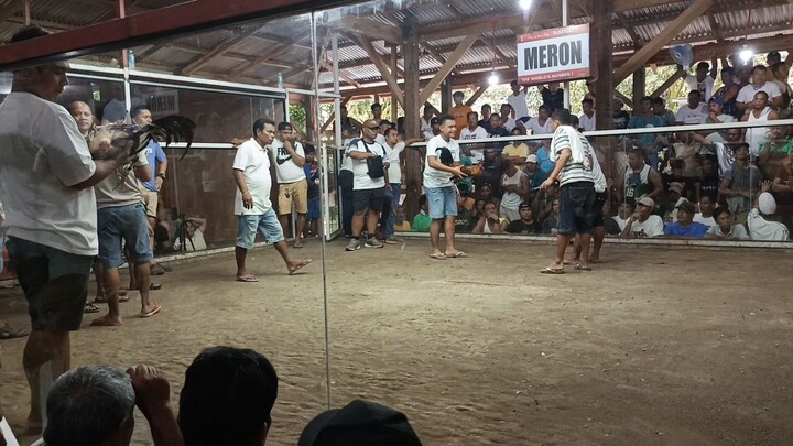 3rd fyt pa champion