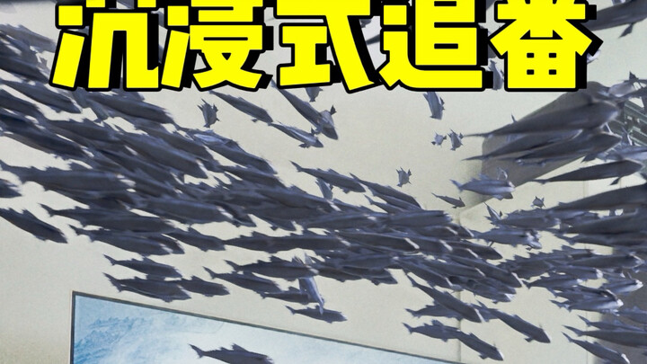 沉浸式追番