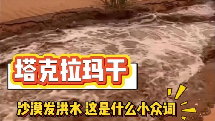 Xinjiang netizen: So, how should urban road flooding be handled after all?