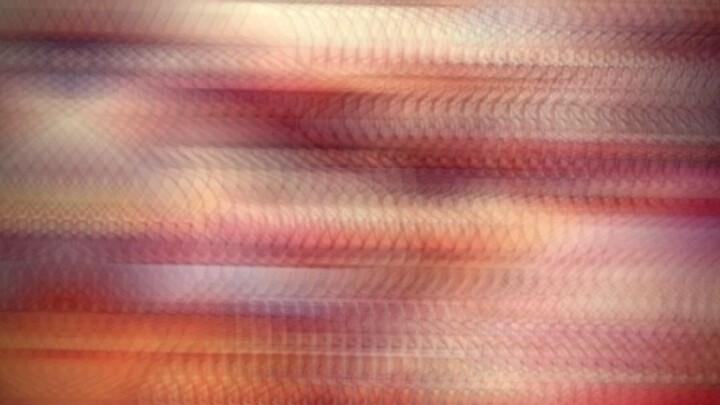 Tôi bỏ tình yêu đi đến con đường trở thành WIBU