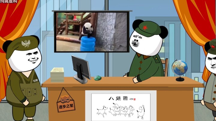 Pandas’ Treatment in Different Countries