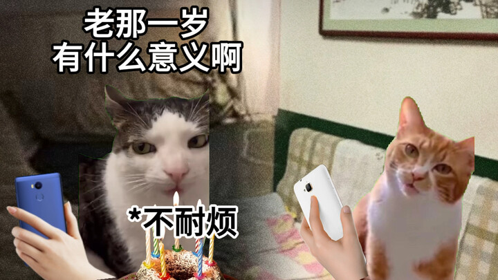นี่อาจเป็นความหมายที่แท้จริงของอายุตามจันทรคติก็ได้นะ #มีมแมว #อบอุ่นซาบซึ้ง