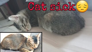 Cat is sick|Going to vet for blood test again|