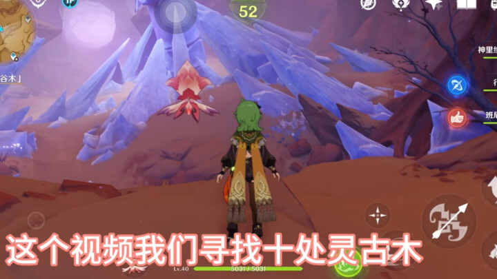 3.6 ตามหาไม้โบราณวิญญาณ พร้อมพาลัดเลาะทั้ง 10 แห่ง