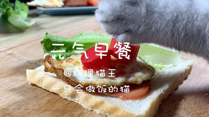 【ราชาแห่งอาหารแมว】อาหารเช้าแบบง่ายๆ ที่แมวทำตามใจตัวเอง กาแฟหอมกรุ่นเริ่มต้นวันใหม่อย่างสดใส
