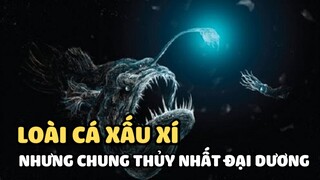 Loài cá xấu xí nhưng chung thủy nhất đại dương | Bạn có biết?