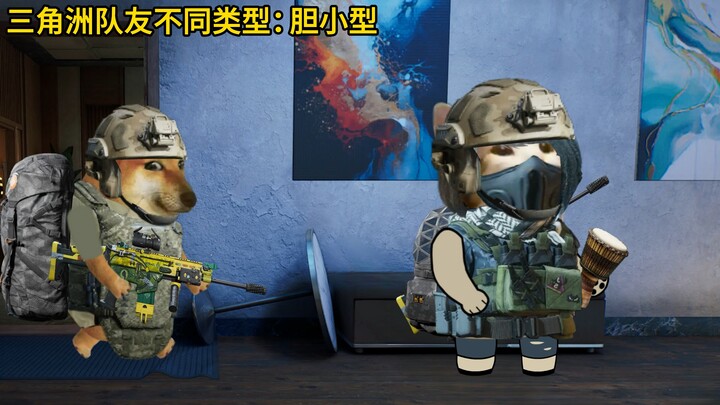 三角洲队友不同类型