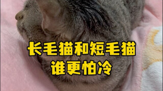 Growing up in Northeast China, the long-haired Doudou seems less resistant to cold than Sansan, the 