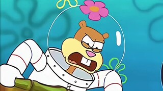 冷知识：珊迪和海绵宝宝是夫妻