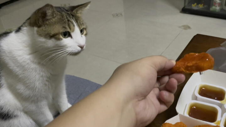 Hoan Tử: Có thật sự giòn tan đến thế không?