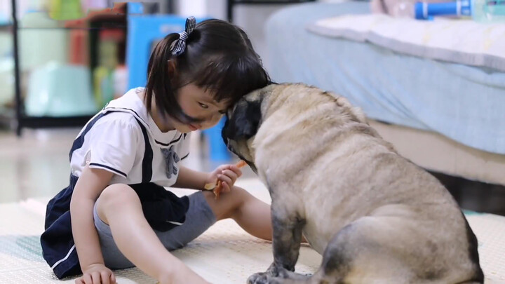 The little girl wants her dog to go to the kindergarten