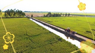 Cô Thắm Về Làng - Phần 3 - Tập 3