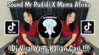 SOUND MR PUDIDI X MAMA AFRIKA FULL BASS VIRAL TIK TOK TERBARU 2022 YANG KALIAN CARI !