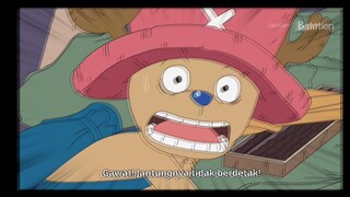 Momen apes zoro