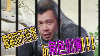 [คุยเรื่องปวดหลังที่บ้าน] การทดลอง 60 วันพิสูจน์ว่าอุรังอุตังก็เป็นโรคอีโมได้เช่นกัน