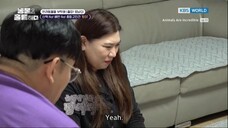 Animals Are Incredible Ep. 15