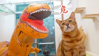 The king of Jurassic was bullied by a few kittens, so miserable