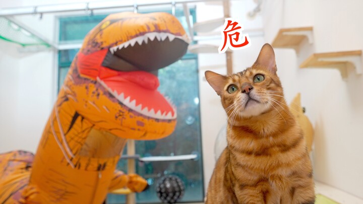 The king of Jurassic was bullied by a few kittens, so miserable