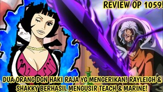 REVIEW OP 1059 - HAKI RAJA MILIK RAYLEIGH & SHAKKY SNGT MENGERIKAN! SHAKKY MANTAN KAPTEN KUJA PIRATE