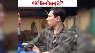 Cá hoàng tử