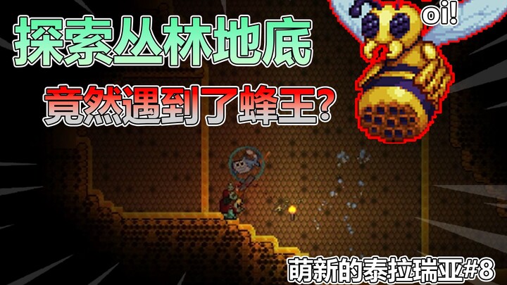 Exploring the jungle underworld, and I actually ran into the Bee Queen!? Newbie’s Terraria Playthrou