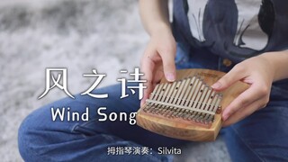 【拇指琴】《风之诗》押尾桑（wind song）片段